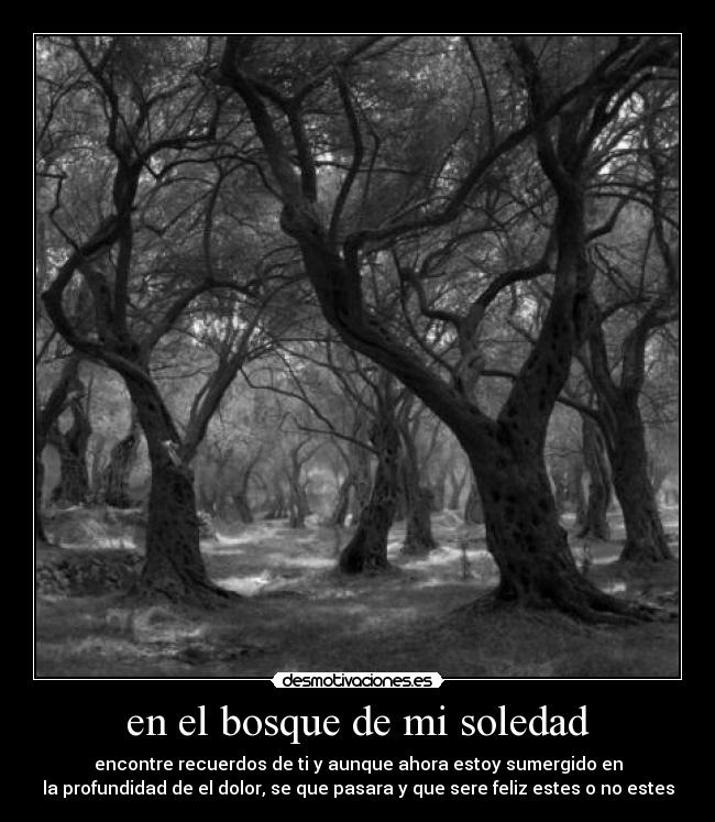 en el bosque de mi soledad - encontre recuerdos de ti y aunque ahora estoy sumergido en
la profundidad de el dolor, se que pasara y que sere feliz estes o no estes