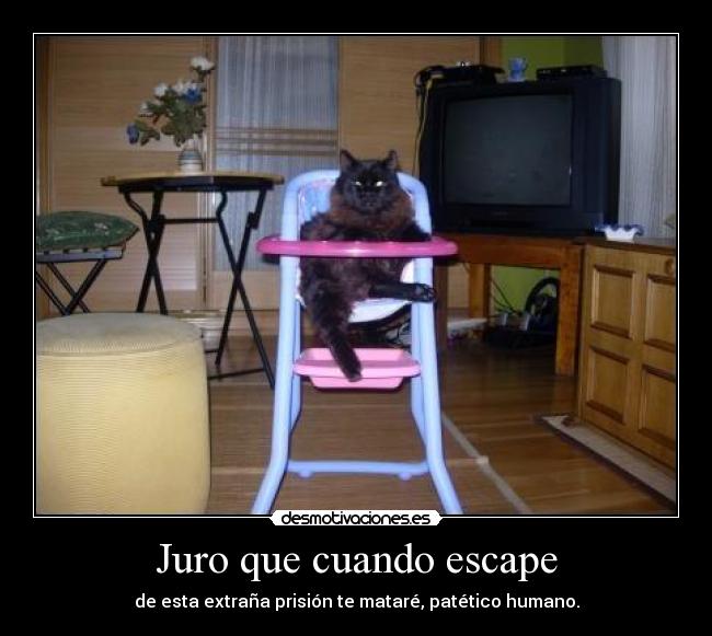 Juro que cuando escape - de esta extraña prisión te mataré, patético humano.