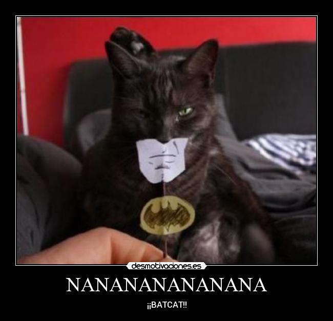 NANANANANANANA - ¡¡BATCAT!!