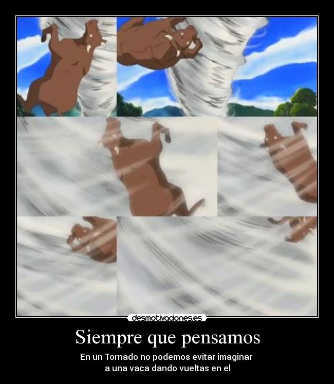 Siempre que pensamos -