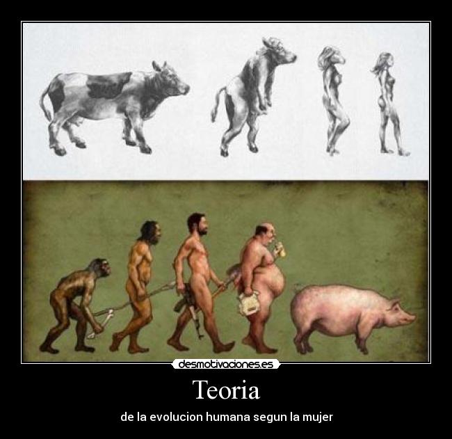 Teoria - de la evolucion humana segun la mujer