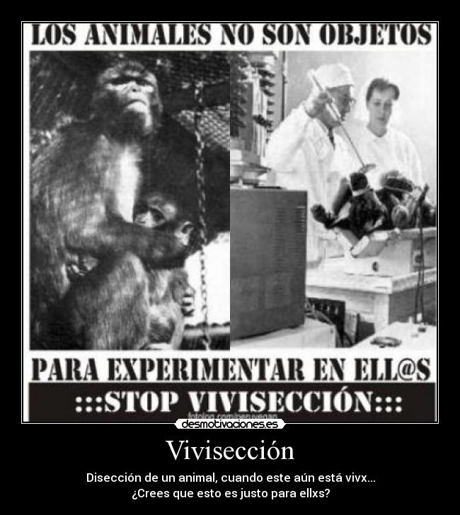 Vivisección -