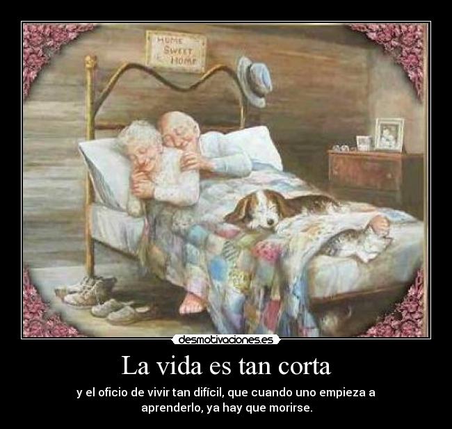 La vida es tan corta - y el oficio de vivir tan difícil, que cuando uno empieza a
aprenderlo, ya hay que morirse.