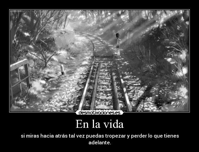 En la vida - 