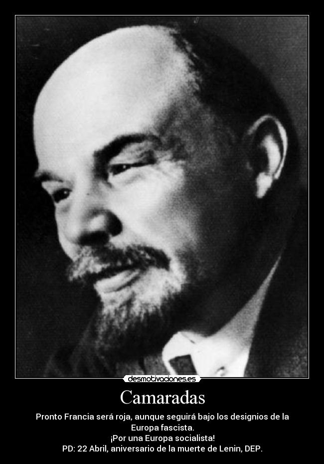 Camaradas - 