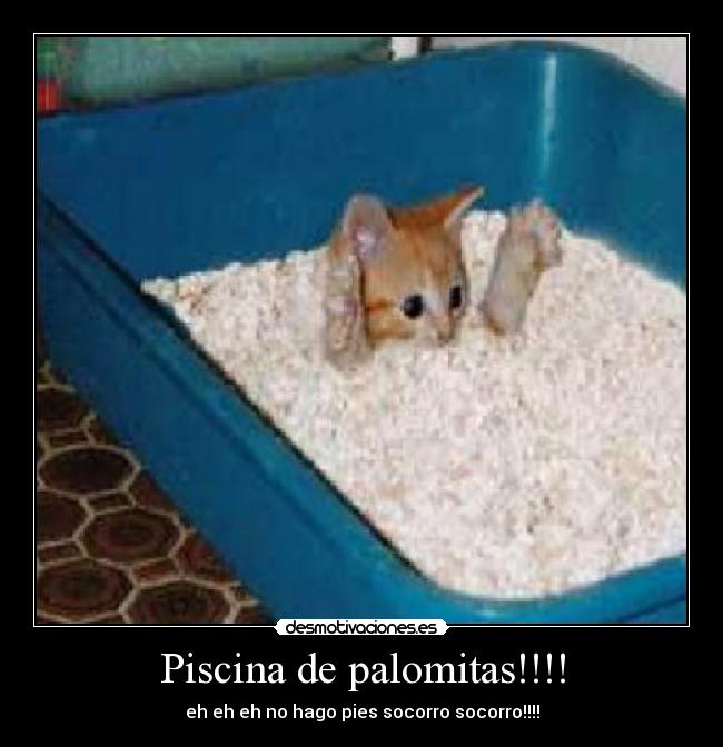 Piscina de palomitas!!!! -