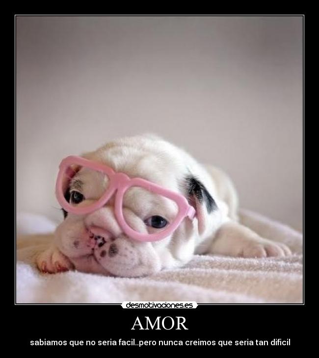 AMOR - sabiamos que no seria facil..pero nunca creimos que seria tan dificil
