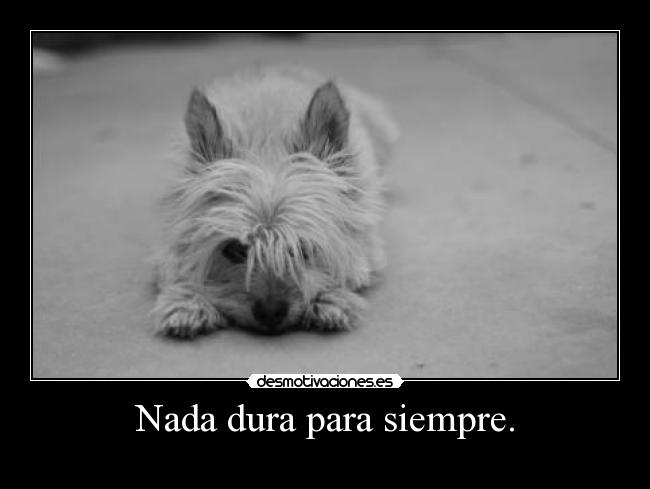 Nada dura para siempre. -