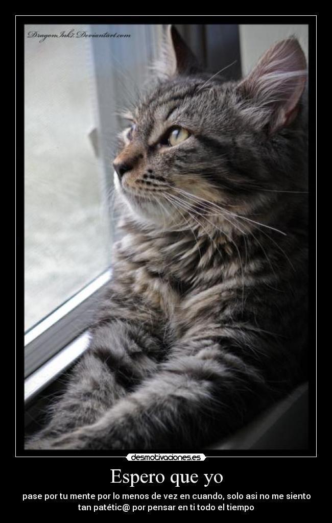 Espero que yo - pase por tu mente por lo menos de vez en cuando, solo asi no me siento
tan patétic@ por pensar en ti todo el tiempo
