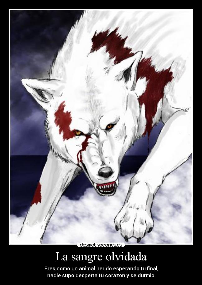 La sangre olvidada - Eres como un animal herido esperando tu final,
nadie supo desperta tu corazon y se durmio.