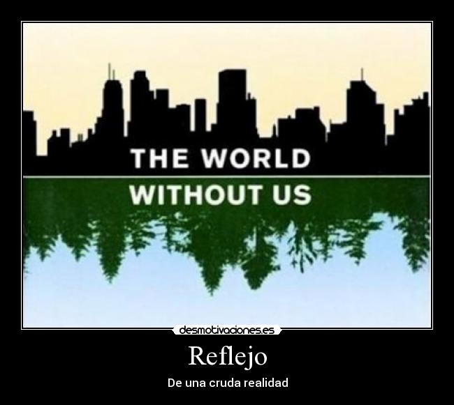 Reflejo - De una cruda realidad