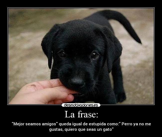 La frase: - Mejor seamos amigos queda igual de estupida como: Perro ya no me
gustas, quiero que seas un gato
