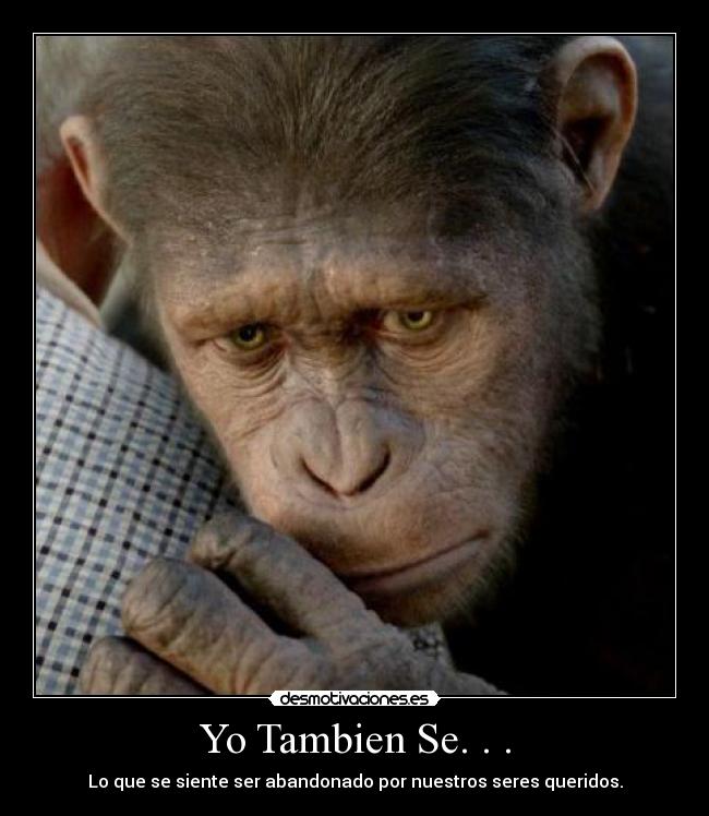 Yo Tambien Se. . . - 