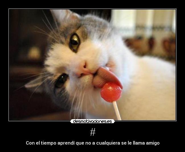 # - Con el tiempo aprendí que no a cualquiera se le llama amigo