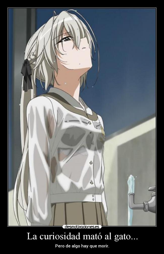 carteles curiosidad mato gatosyosuga sora anime harukaze desmotivaciones