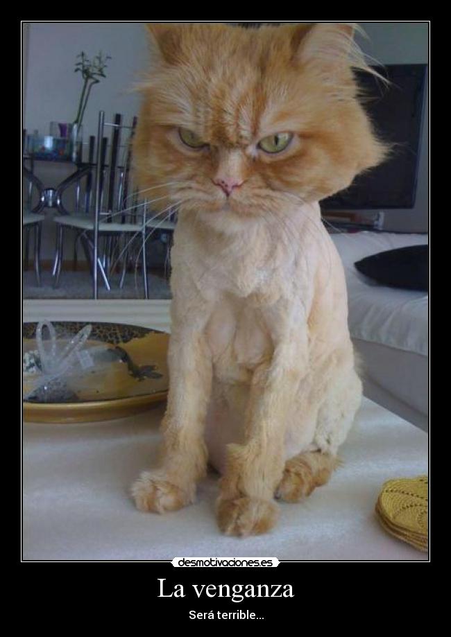 La venganza - Será terrible...
