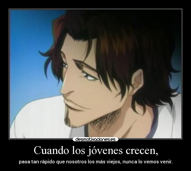 carteles kyoraku shunsui bleach anime manga soul society kolpisoto desmotivaciones