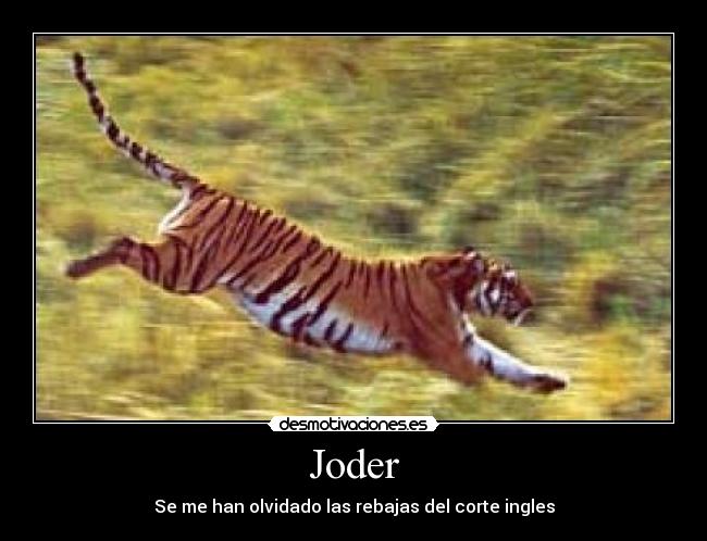 Joder - Se me han olvidado las rebajas del corte ingles