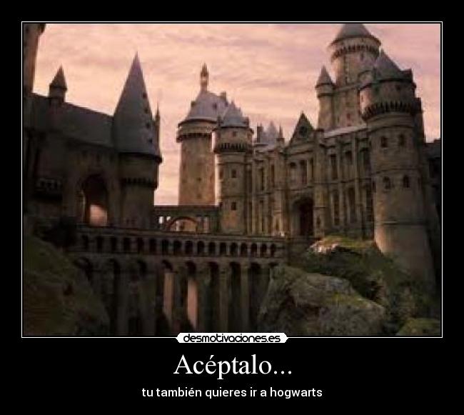 Acéptalo... - tu también quieres ir a hogwarts