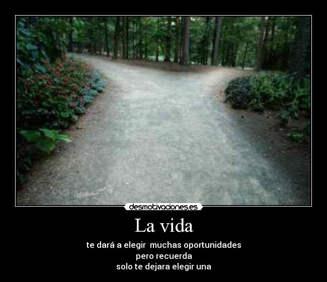 La vida - 