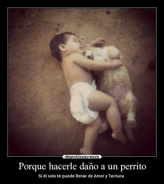 carteles maltrato animal desmotivaciones