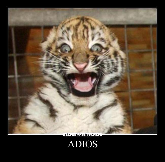 carteles tonti nos vemos pero aqui vuelvo ntf mola desmotivaciones