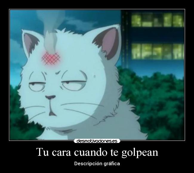 carteles cara cuando golpean descripcion grafica desmotivaciones