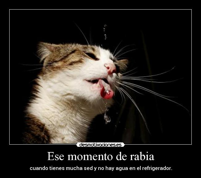 Ese momento de rabia - 