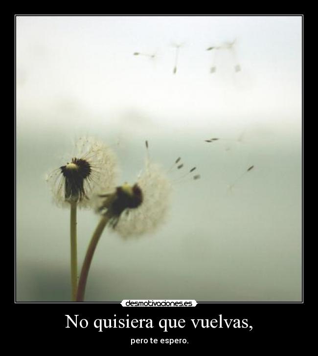 No quisiera que vuelvas, - pero te espero.