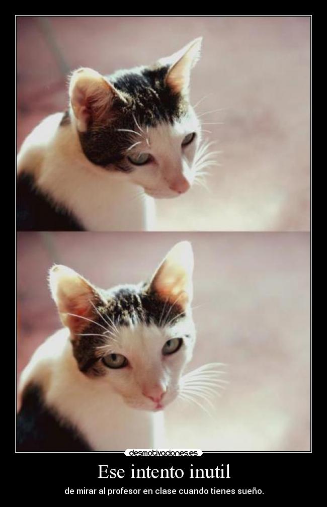 Ese intento inutil - de mirar al profesor en clase cuando tienes sueño.