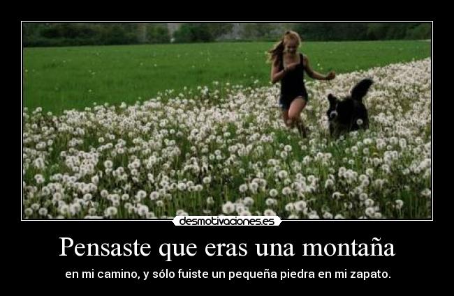 Pensaste que eras una montaña - en mi camino, y sólo fuiste un pequeña piedra en mi zapato.