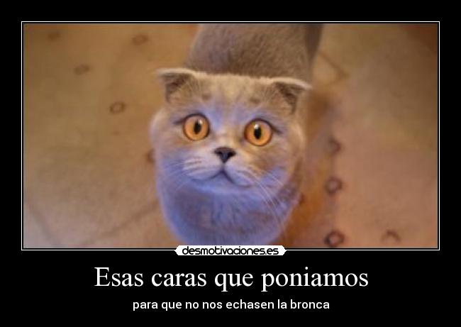 Esas caras que poniamos -