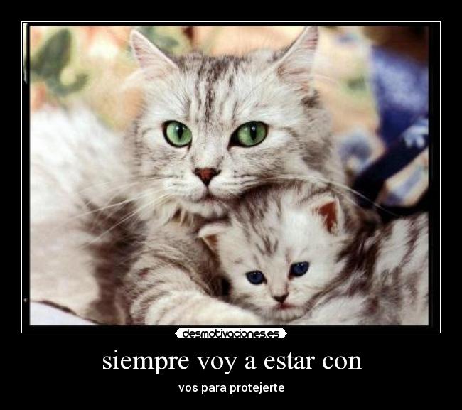 carteles agregenme facebook soy julieta cabrera nunez desmotivaciones