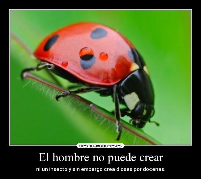 carteles dioses desmotivaciones