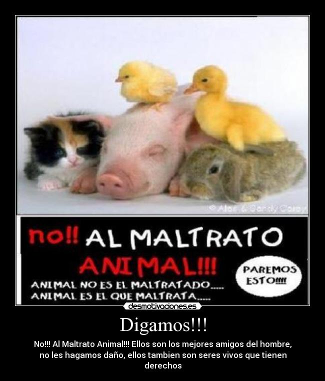Digamos!!! - No!!! Al Maltrato Animal!!! Ellos son los mejores amigos del hombre,
no les hagamos daño, ellos tambien son seres vivos que tienen
derechos