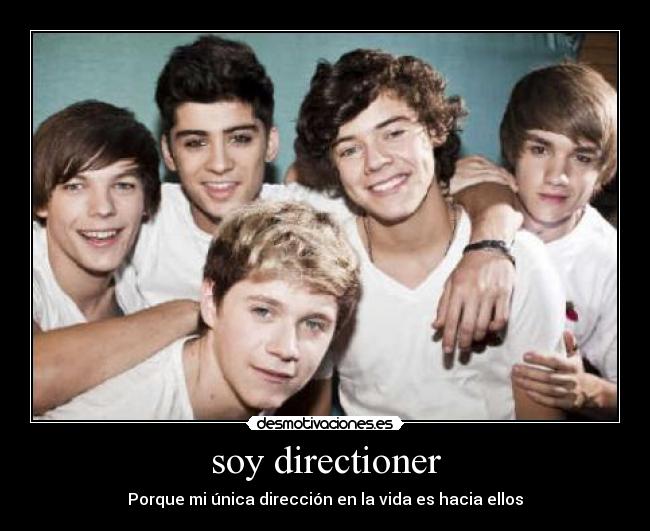 soy directioner -