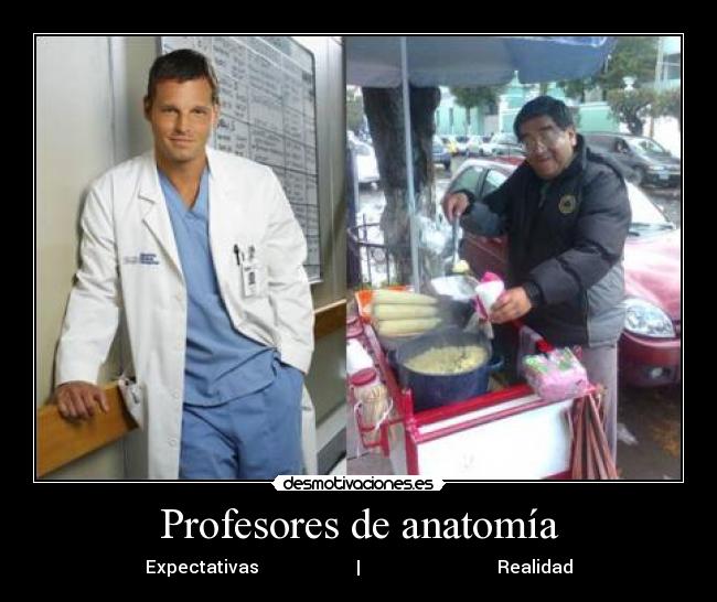 carteles anatomia desmotivaciones