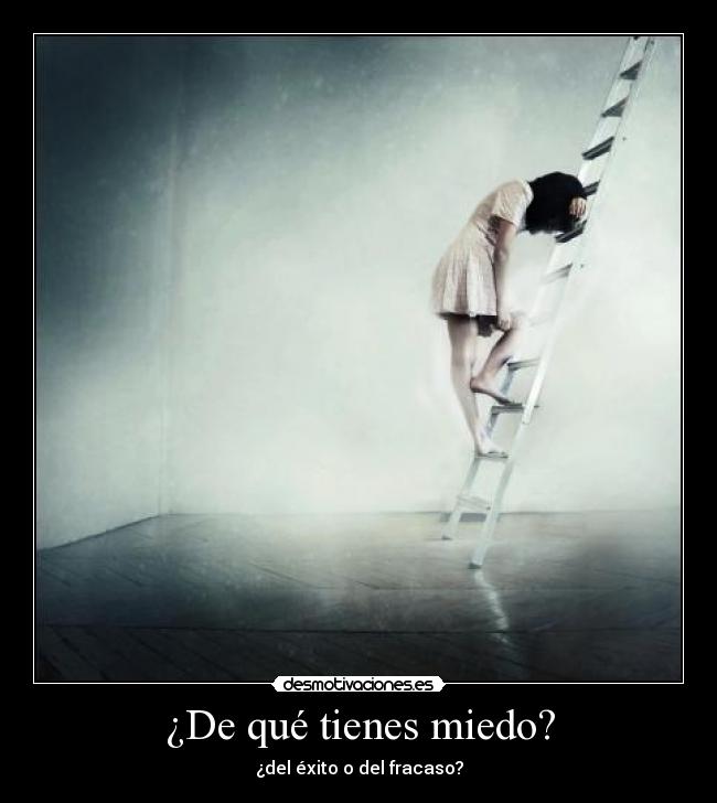 ¿De qué tienes miedo? -