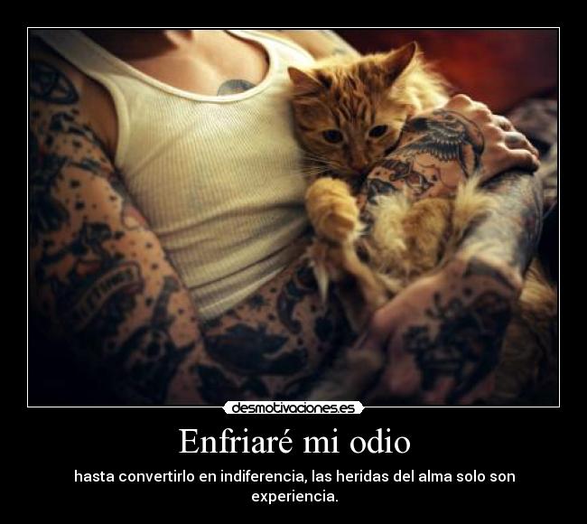 Enfriaré mi odio - 
