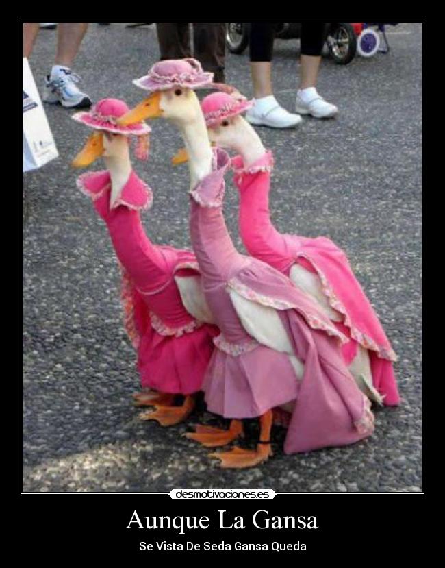 Aunque La Gansa - Se Vista De Seda Gansa Queda