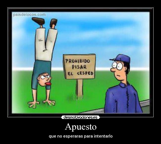 Apuesto - 