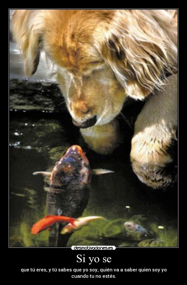 Si yo se - que tú eres, y tú sabes que yo soy, quién va a saber quien soy yo cuando tu no estés.