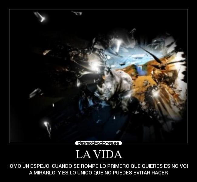 carteles vida vida desmotivaciones
