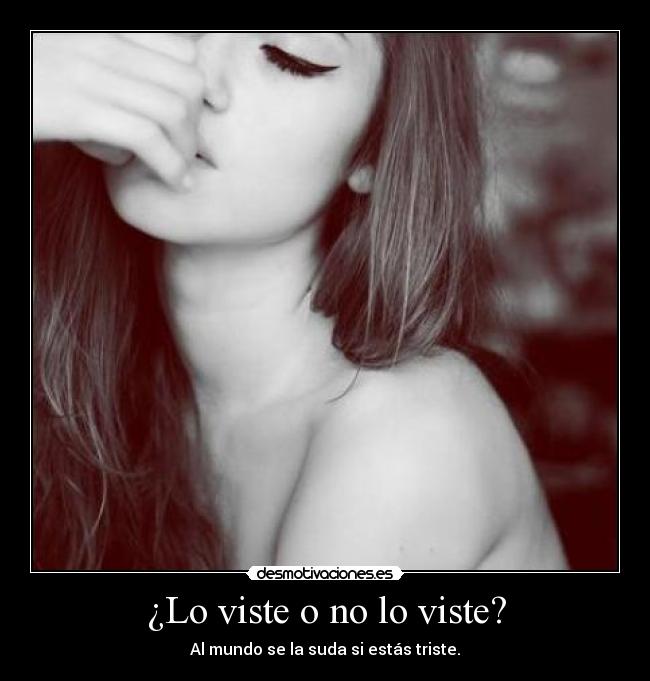 ¿Lo viste o no lo viste? - 