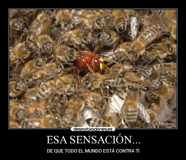 ESA SENSACIÓN... - DE QUE TODO EL MUNDO ESTÁ CONTRA TÍ