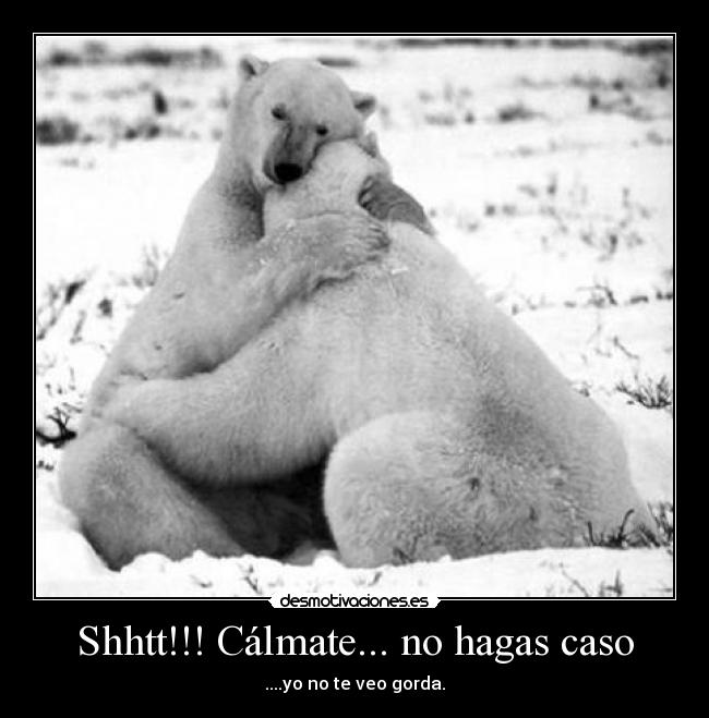 carteles forrest gump desmotivaciones