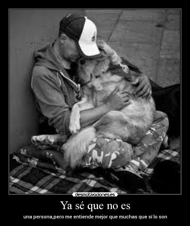 Ya sé que no es - una persona,pero me entiende mejor que muchas que sí lo son