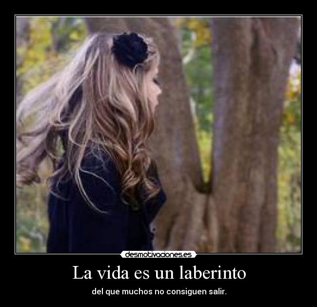 La vida es un laberinto - del que muchos no consiguen salir.