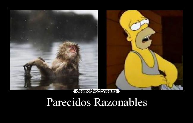 Parecidos Razonables -
