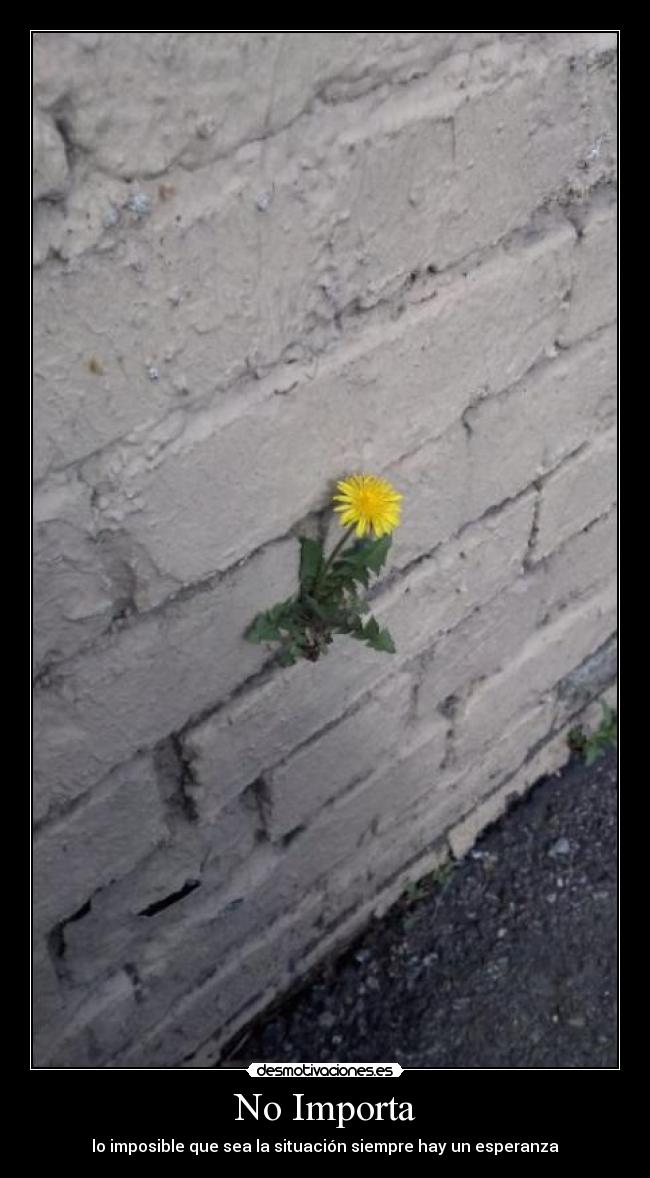 No Importa - lo imposible que sea la situación siempre hay un esperanza